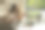 在咖啡馆工作的年轻自由职业者，使用她的笔记本电脑和智能手机。图片下载