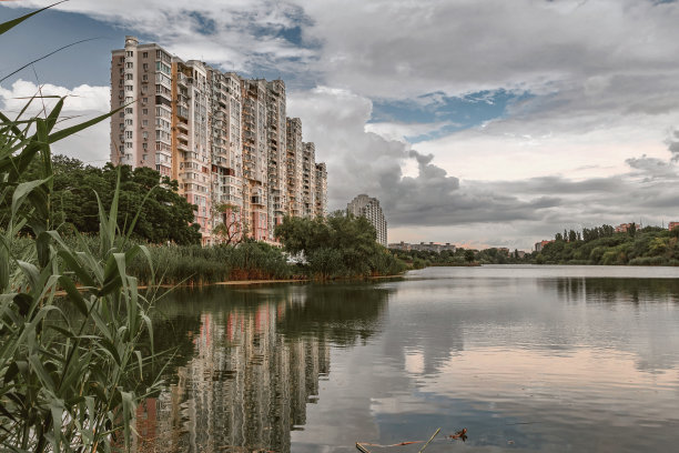 湖面上多云的天空。芦苇在水中生长。图片下载