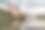 湖面上多云的天空。芦苇在水中生长。图片下载