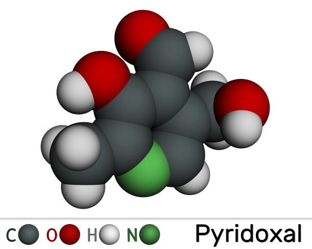 吡哆醛分子。它是维生素B6的一种形式。分子模型。3 d渲染。图片下载