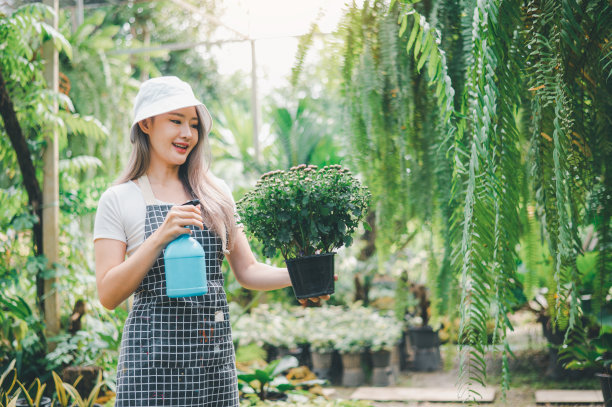 年轻女性的爱好是照顾植物，浇水，铲花。在工作休息的时候在花园里图片下载