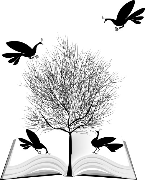 孔雀、景观、图片下载