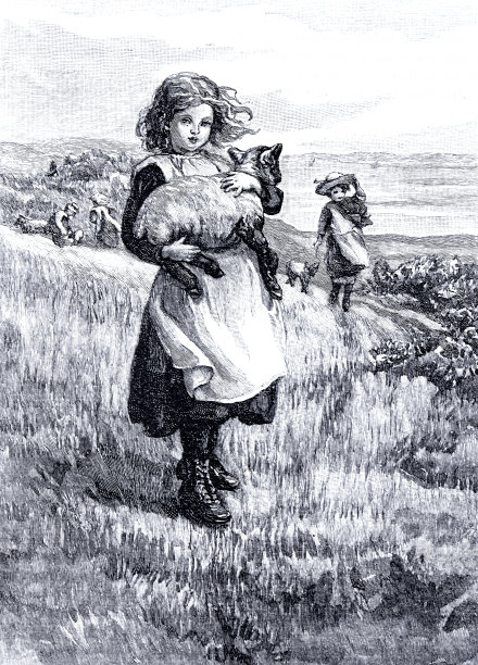 在草地上，女孩抱着一只羔羊图片下载