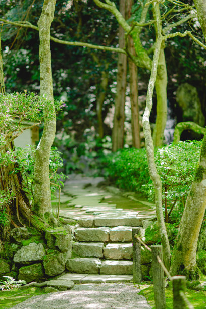 京都夏天的日式花园图片下载