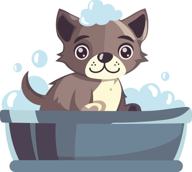 可爱的小狗在水里玩玩具图片下载