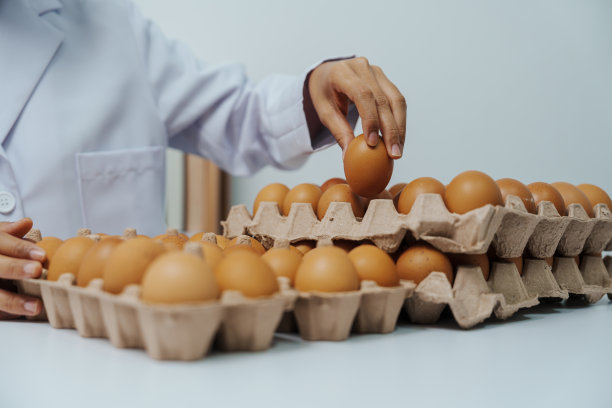 质量控制-最佳的鸡蛋质量，实用的方法家禽鸡蛋，以准确和一致地衡量其产品的质量。图片下载