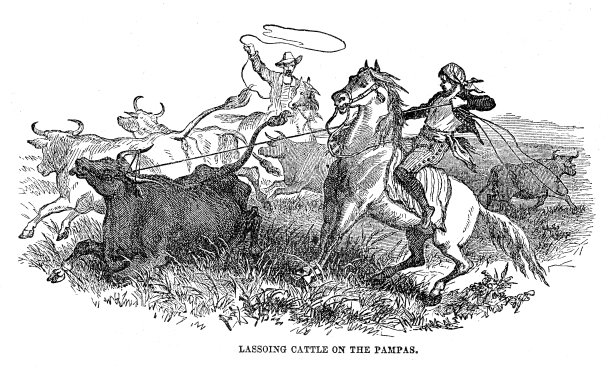 1867年在潘帕斯草原上套索牛群图片下载