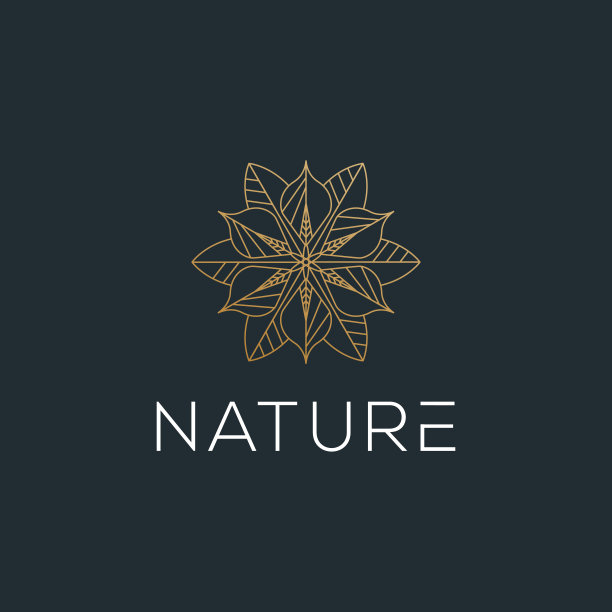 叶花黄金豪华优雅装饰曼陀罗极简主义矢量标志模板图片下载