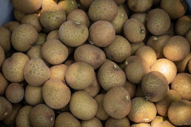 龙眼水果的全画幅拍摄。图片下载