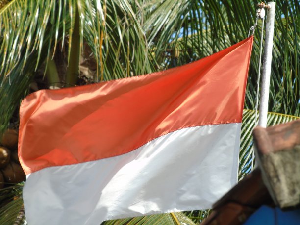 印尼国旗图片下载