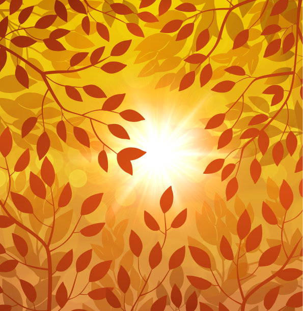 叶子春天矢量背景与太阳图片下载