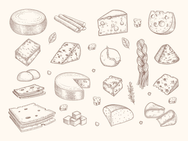 奶酪。豪达干酪，马苏里拉奶酪，美味的美味牛奶，有机切片产品矢量插图图片下载