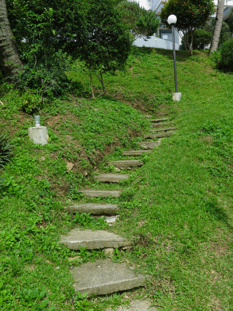 花园里的石阶。图片下载