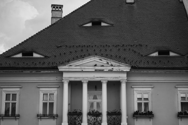 一个带有阳台和柱子的老建筑立面的灰度照片图片下载