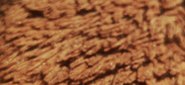 毛皮模式图片下载