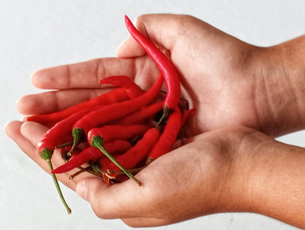 红辣椒图片下载