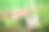 农民的花园工具和设备-铲子。夏季或春季在种植园上进行园艺或农业工作的概念图片下载