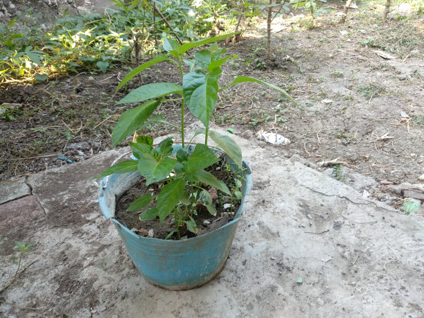 回收桶图片下载