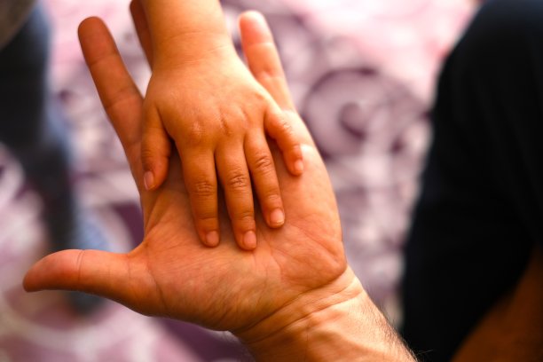 看父亲和儿子的手在一起图片下载