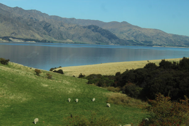 湖Wakatipu图片下载