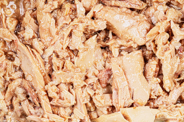 大块的金枪鱼是生酮饮食的一部分图片下载