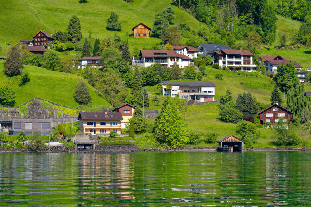 田园诗般的瑞士村庄，位于卢塞恩湖湖岸，背景是林地。图片下载