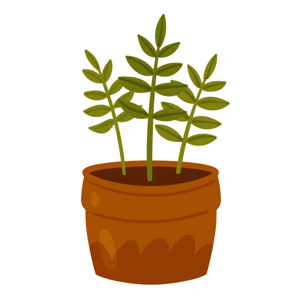 盆栽植物图片下载