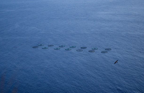 一排船在深蓝色的海面上图片下载