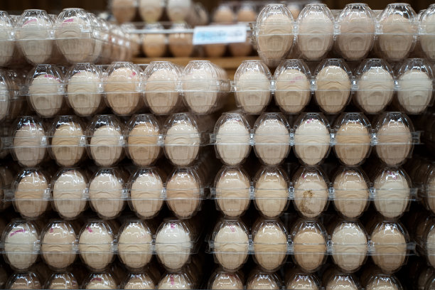 出售鸡蛋图片下载