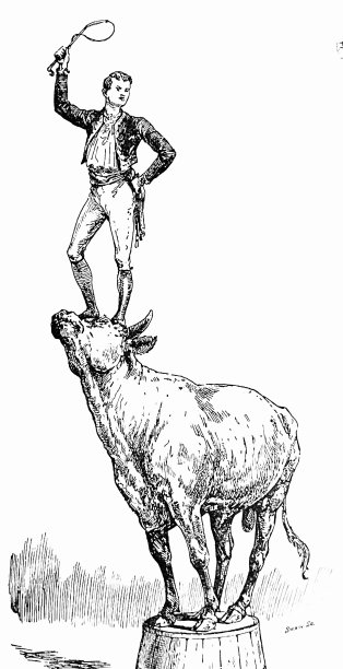马戏团里的动物:驯兽师站在牛头上图片下载