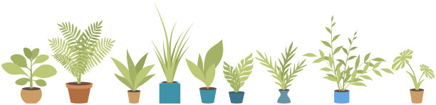 家庭或办公室植物在锅。矢量插图。室内盆栽的叶片植物。花盆里的家庭植物图片下载