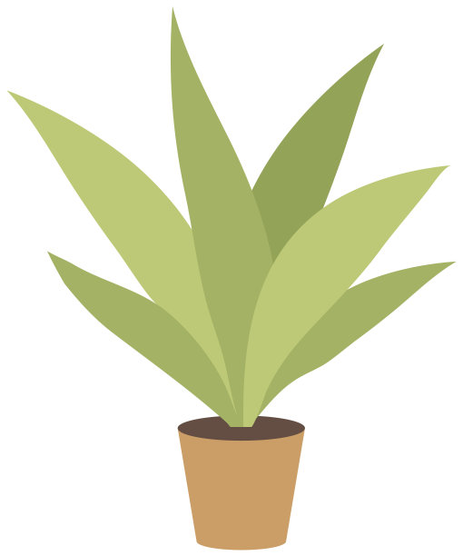 家庭或办公室植物在锅。矢量插图。室内盆栽的叶片植物。花盆里的家庭植物图片下载