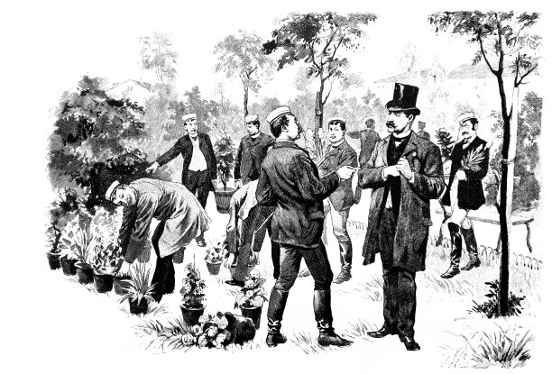 在园丁的图片下载