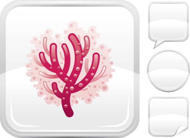 珊瑚图标上的银色按钮图片下载