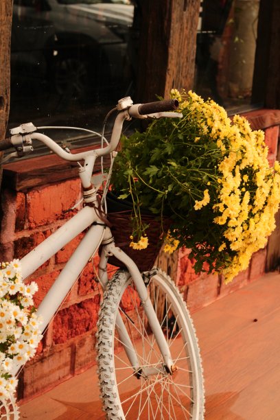 白色自行车和装满白色和黄色雏菊的篮子图片下载