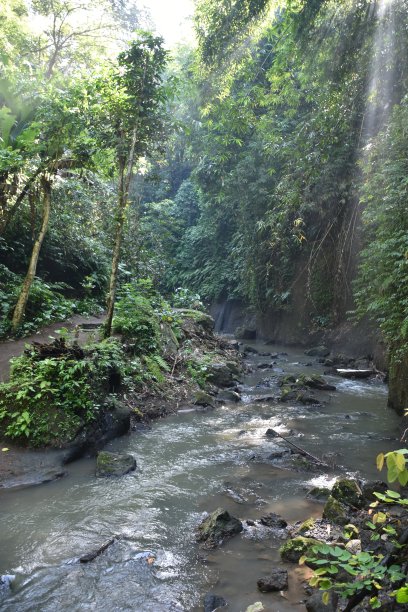 丛林溪流肖像附近的蒂布马纳瀑布，巴厘岛图片下载