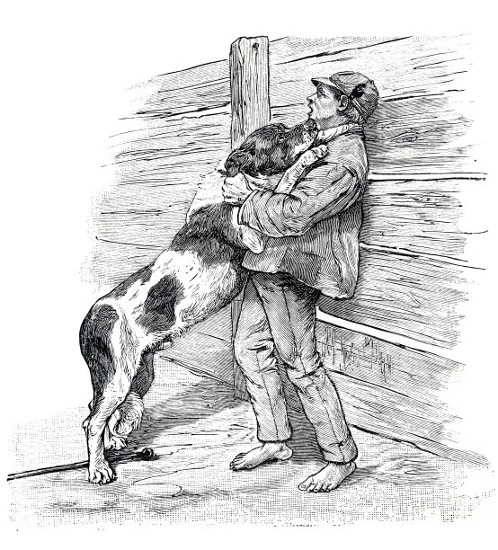 狗训练，捕捉一个真正站在墙上的人图片下载