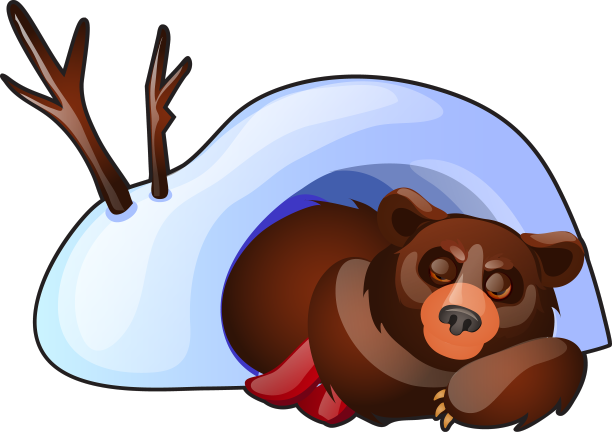 这只熊在一个孤立的雪穴里睡觉图片下载