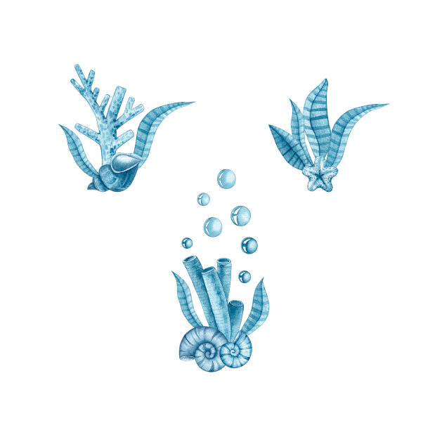 水彩蓝色花束的珊瑚，贝壳，藻类在白色的背景图片下载