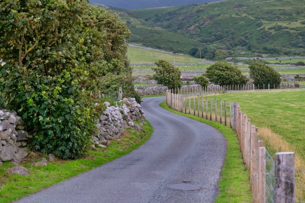 区域内的乡村道路图片下载