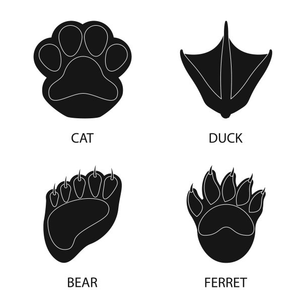 孤立物体的脚和动物群标志集图片下载