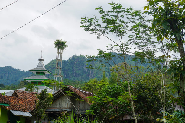印度尼西亚村庄的库存照片图片下载