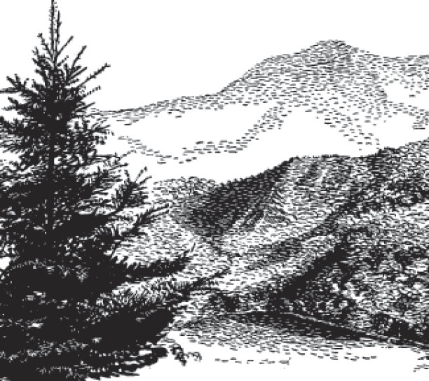 山景观图片下载