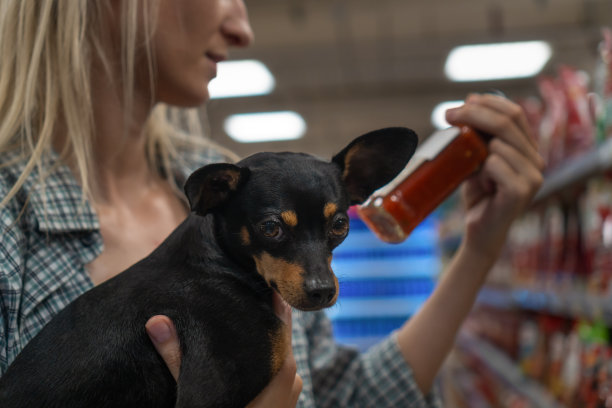 在一个购物中心里，年轻的金发女郎抱着一只黑色的玩具梗犬，挑选商品并进行采购。有选择性的重点。狗看着相机图片下载