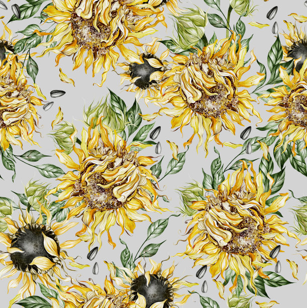 水彩无缝图案与向日葵和树叶。图片下载