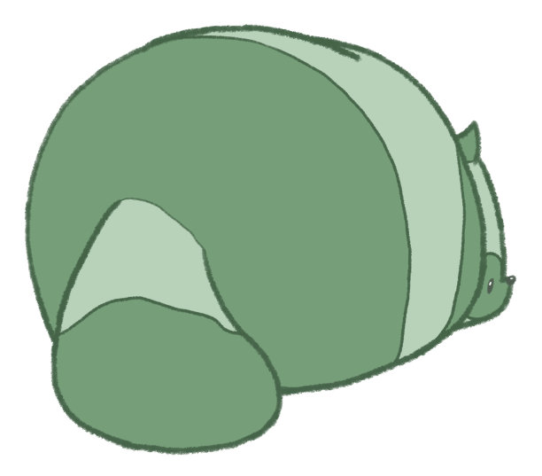 这是一只浣熊的后视图，它有点担心自己的背部图片下载