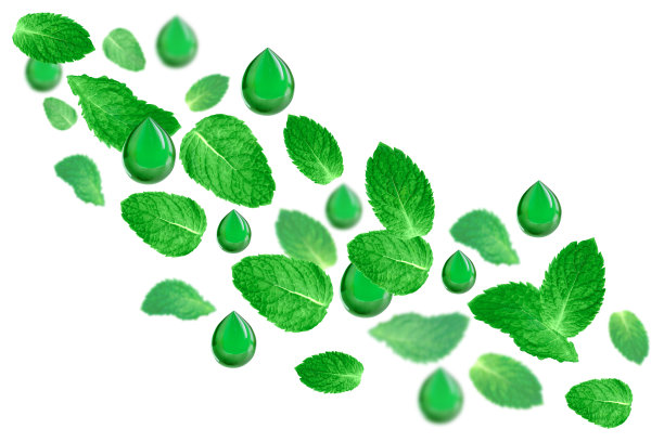 漂浮的薄荷和绿色滴分离在白色的背景。图片下载