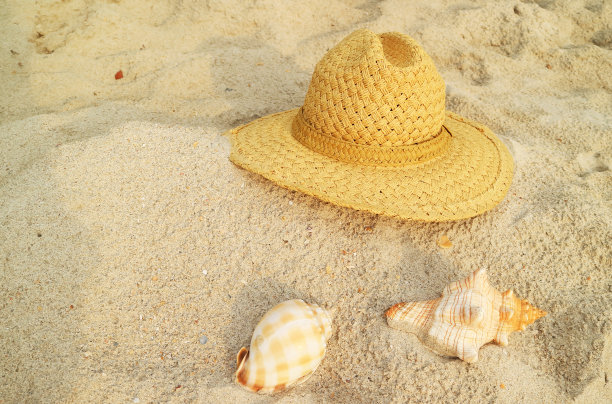 沙滩上的草帽配上两种美丽的天然贝壳图片下载