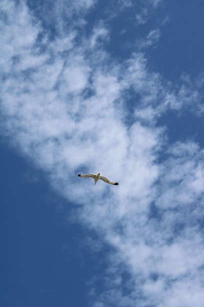 海面上的云图片下载