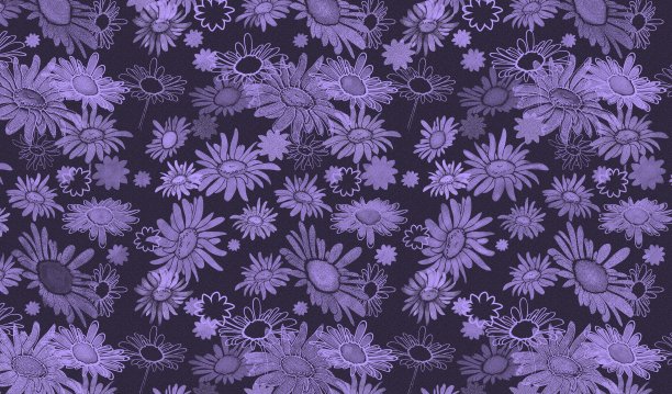 单色花在不同程度的细节粉彩技术图片下载